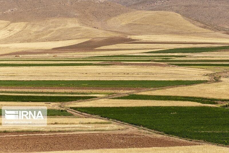 نتایج سرشماری عمومی کشاورزی ۱۴۰۳ در زنجان منتشر شد