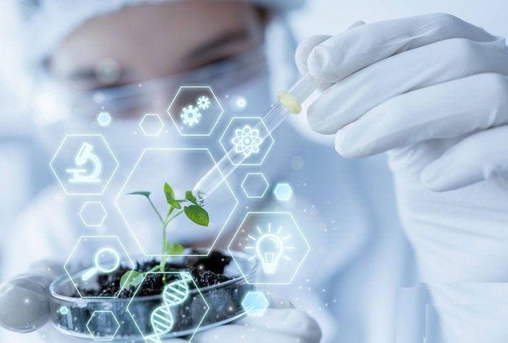 آغاز اعتبارسنجی محصولات و فرآیندهای دارای نوآوری در سازمان پژوهش‌های علمی