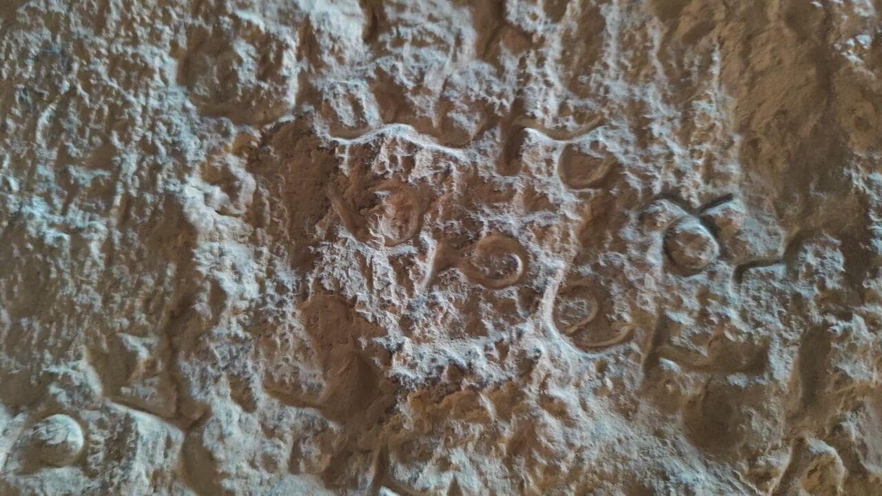 گنجینه‌ای پنهان در سایه تخت جمشید؛ کشف ۲۰ کتیبه باستانی که تاریخ می‌گویند