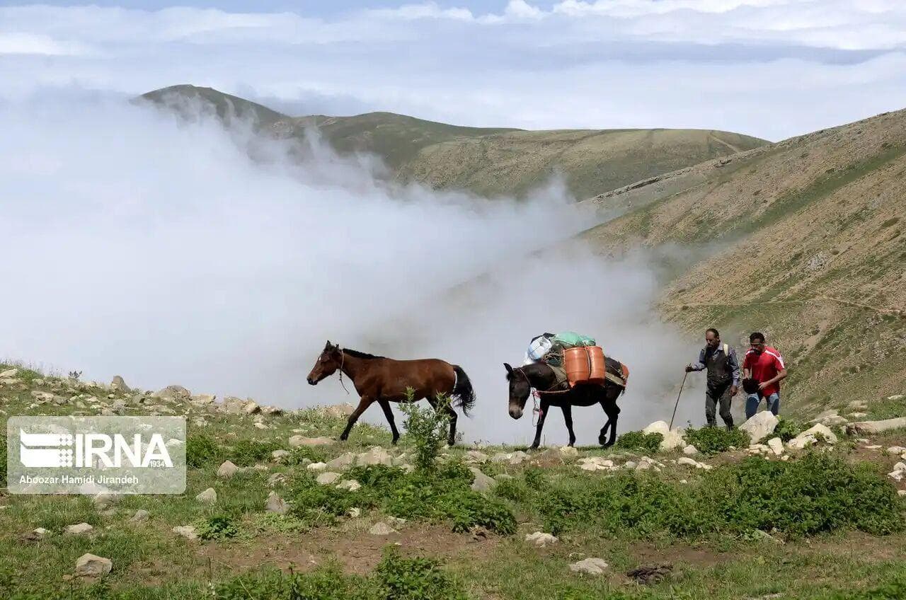 ۹۸۰ میلیارد ریال تسهیلات کم‌بهره به عشایر گیلان پرداخت شد