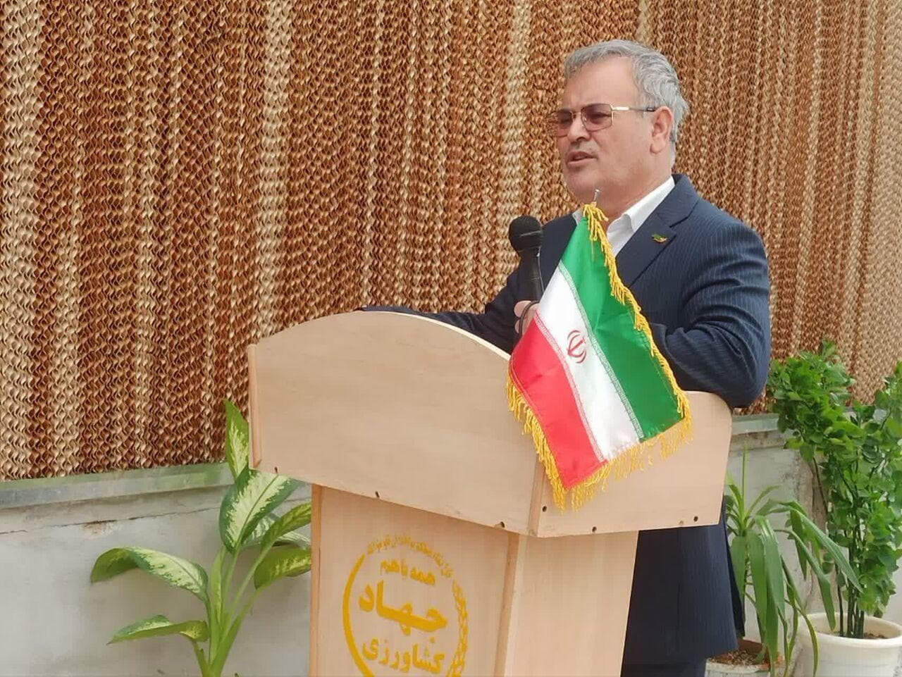 ۲۰ هزار هکتار گلخانه در کشور فعال است/رشد کشاورزی و کاهش واردات در سالی که گذشت