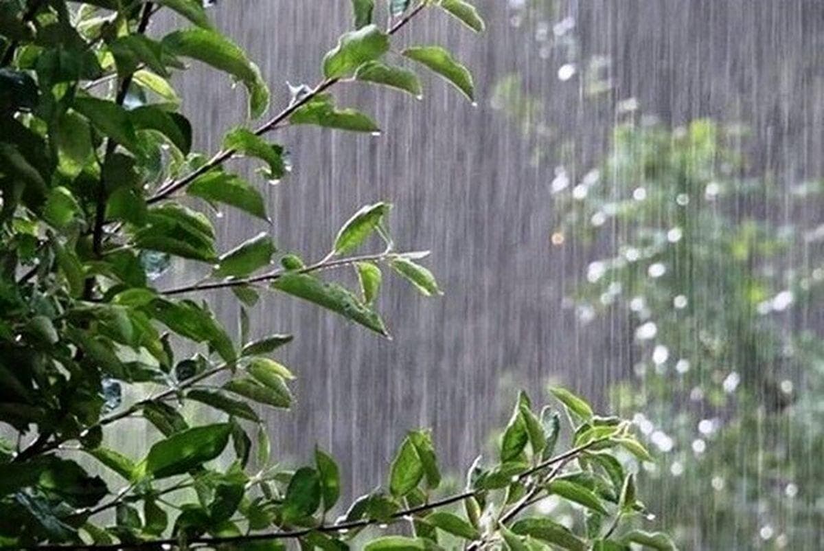 بارش باران در نوار شمالی و رگبارهای رعد و برق در جنوب کشور