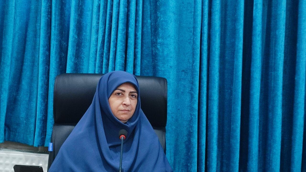 فیلم | انصاری: کنترل ریزگردها با تقویت دیپلماسی حاصل می شود