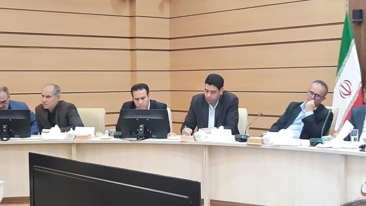 ۳۰ تا ۴۰ زمین چمن ورزشی در شهرستان‌های زنجان ساخته شود