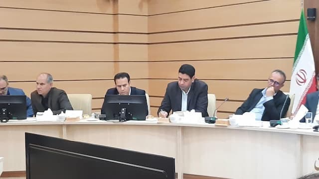 ۳۰ تا ۴۰ زمین چمن ورزشی در شهرستان‌های زنجان ساخته شود