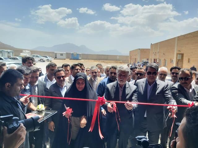 بزرگترین طرح گازرسانی روستایی کشور در بافت افتتاح شد