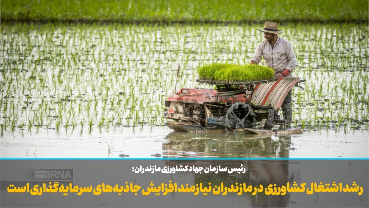 فیلم | رشد اشتغال کشاورزی مازندران در گرو افزایش جاذبه‌های سرمایه‌گذاری