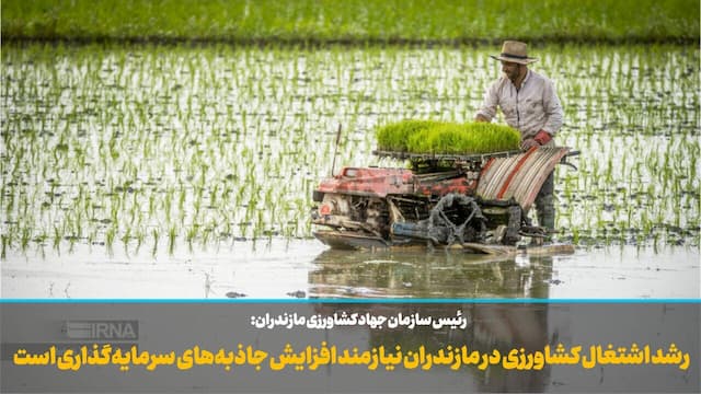 فیلم | رشد اشتغال کشاورزی مازندران در گرو افزایش جاذبه‌های سرمایه‌گذاری