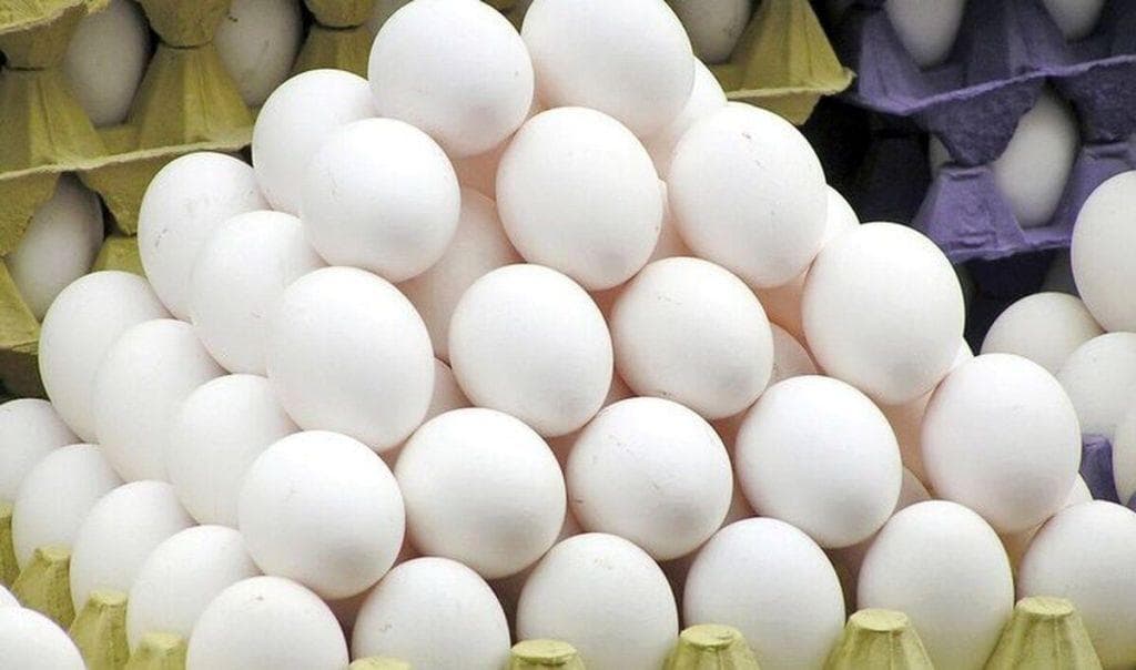 مصرف پایین تخم مرغ در خراسان رضوی، ۱۰۰ تن مازاد تولید را رقم زد