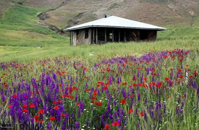 تقویت هوای گرم و روند افزایش دما در گیلان