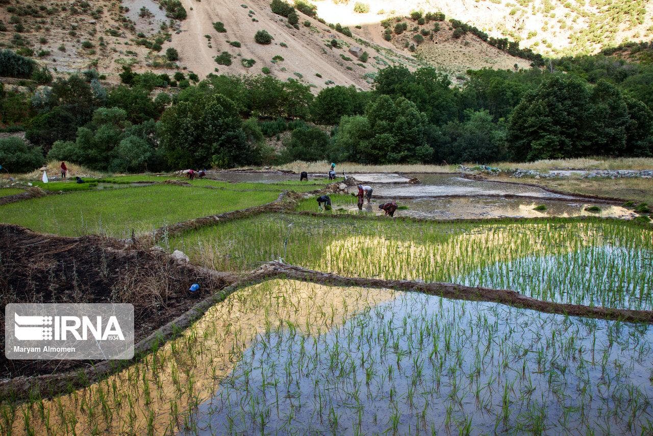 تخصیص ۶ هزار میلیارد تومان به طرح ملی آبخیز تا جالیز در سالجاری