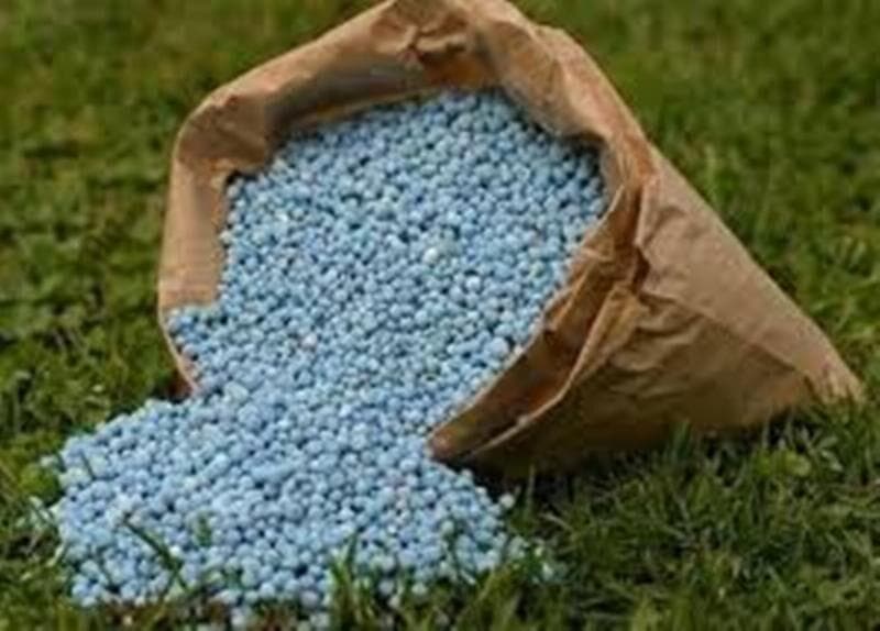 ۱۸ هزار و ۵۰۰ تُن کود یارانه‌ای در قم تامین شد