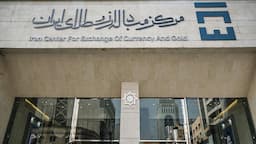 دسترسی مستقیم بازرگانان به سامانه ارز تجاری مرکز مبادله ایران فراهم شد