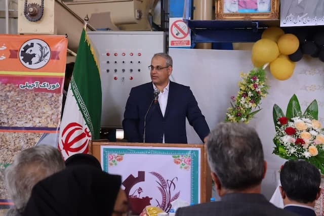 معاون وزیر کار: بهره‌وری مهم‌ترین رکن در کاهش هزینه‌های تولید است