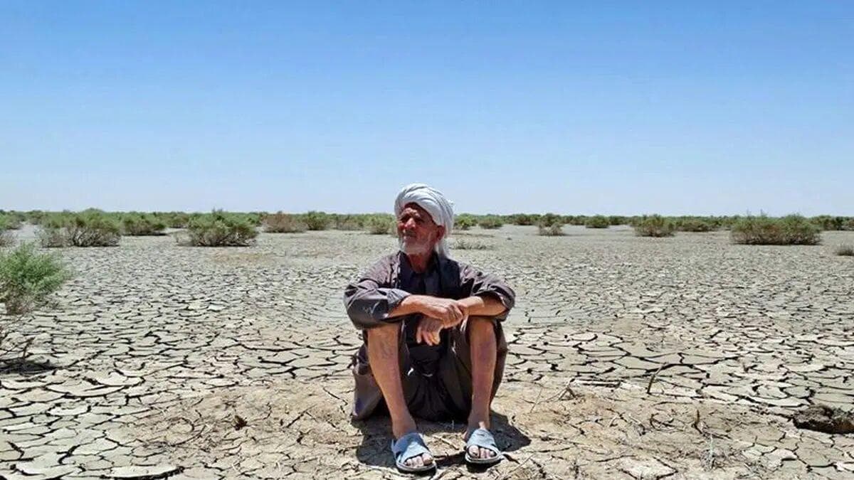 بادشکن غیرزنده تالاب هامون؛ تجربه‌ای بومی با هزینه یک‌دهم طرح‌های مشابه+فیلم