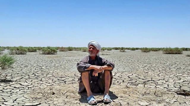 بادشکن غیرزنده تالاب هامون؛ تجربه‌ای بومی با هزینه یک‌دهم طرح‌های مشابه+فیلم