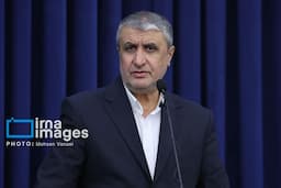 اسلامی: ۲ بازرس آژانس با مجوز دبیرخانه شورای عالی امنیت ملی به ایران سفر کردند