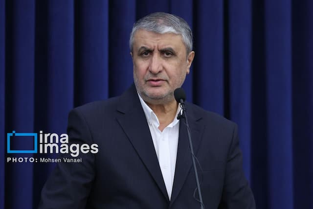 اسلامی: ۲ بازرس آژانس با مجوز دبیرخانه شورای عالی امنیت ملی به ایران سفر کردند