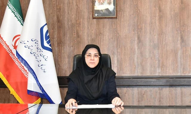 کم‌اظهاری دستمزد و اشتغال غیررسمی مهمترین چالش تامین اجتماعی شهرستان‌های استان تهران