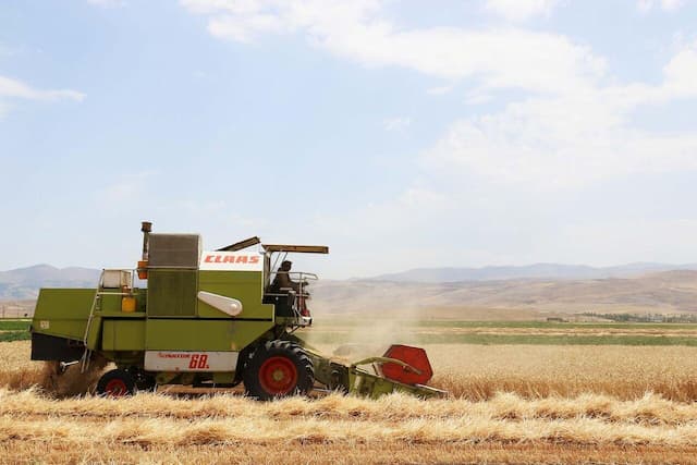 ۹۴ درصد مطالبات گندمکاران استان اردبیل پرداخت شد