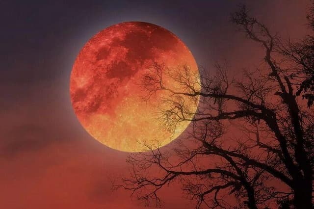 وقتی چهره سیمگون ماه به سُرخی می‌گراید