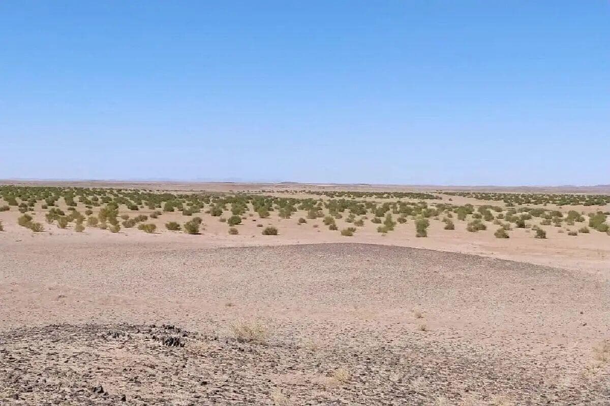 برخی از مناطق استان زنجان در حال بیابانی شدن است