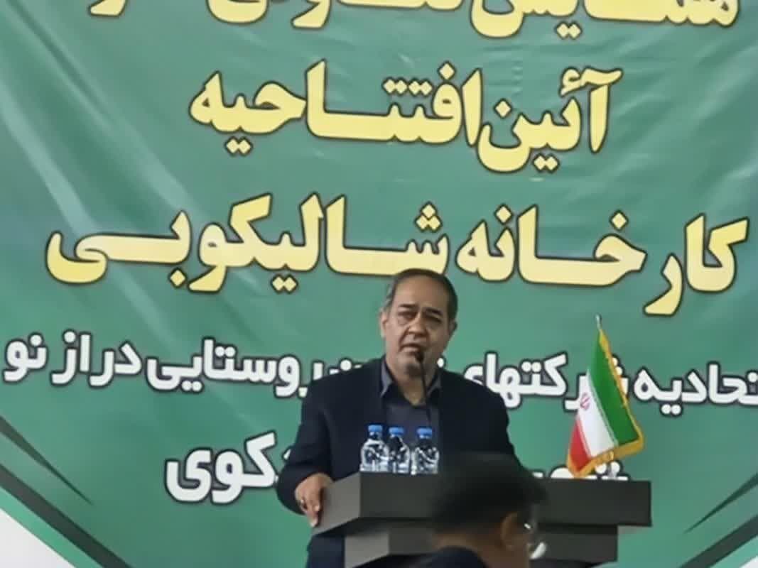 معاون وزیر: کشاورزی ایران با مولدسازی و توسعه صنایع تبدیلی متحول می‌شود
