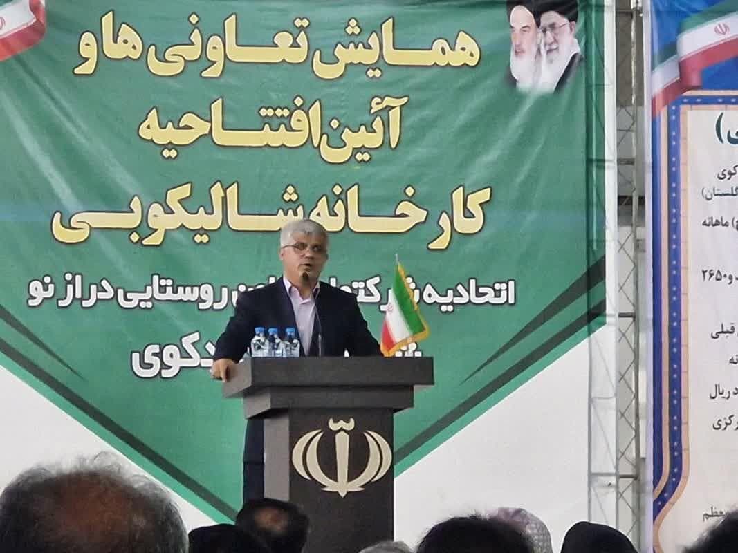 معاون استاندار: تعاونی‌های تولید، کلید تحول معیشت مردم گلستان است