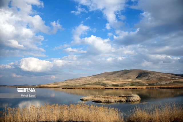 حفاظت از محیط‌ زیست بوشهر نیازمند مشارکت جامعه محلی است