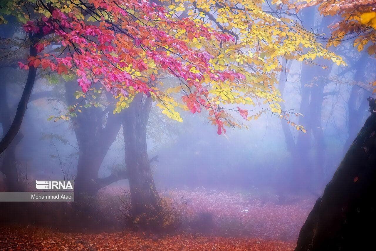 خراسان رضوی حال و هوای پاییزی می‌گیرد