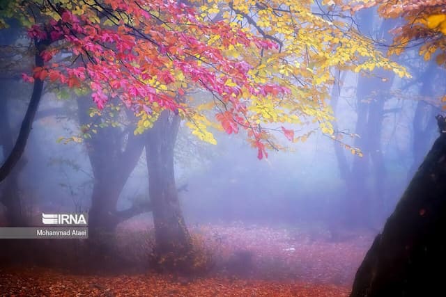 خراسان رضوی حال و هوای پاییزی می‌گیرد