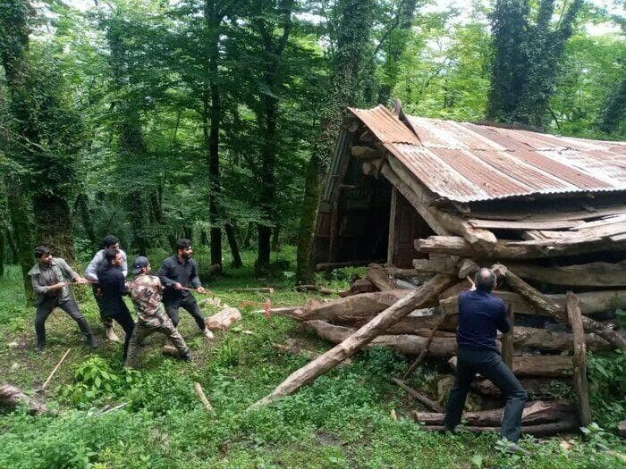 خودزنی قاچاقچی چوب برای فرار از قانون در آمل