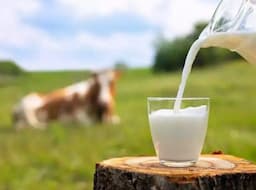 شیر پرچرب خطر بیماری‌های قلبی را افزایش می‌دهد