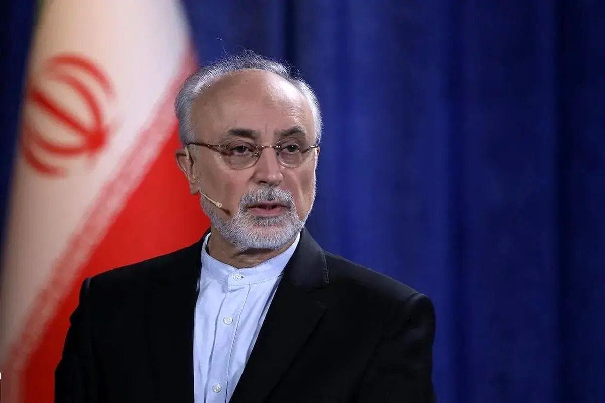 علی‌اکبر صالحی: فرض کنید سوخت‌ساز هم شدیم، کل اورانیوم ما از زمان شاه ۵۰۰ تن بود که پس از برجام، توانستم شاهکاری کنم و ۴۵۰ تن دیگر اضافه شد/ قراردادی هم [در دولت روحانی] با قزاقستان بستیم که هزار یا ۲ هزار تن اورانیوم بگیریم، اما «ترامپ» جلوی آن را گرفت/ ایران به‌ دلیل محدودیت‌ها نمی‌توانست مجتمع سوختی جدید بسازد