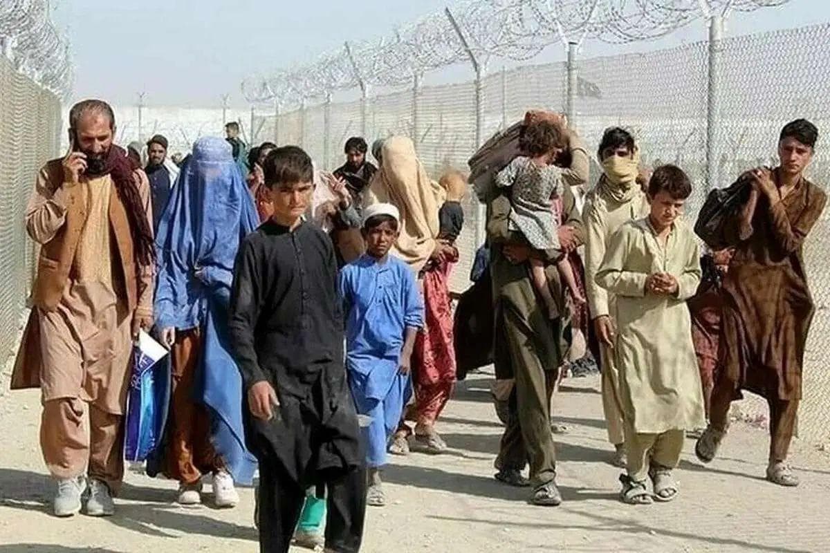 سخنگوی دولت: طبق برآورد‌ها حدود ۶ میلیون اتباع در کشور داریم که خروج آن‌ه‌ا، بر ساماندهی و تنظیم مشاغل تأثیرگذار است/ خروج تدریجی اتباع ادامه خواهد داشت