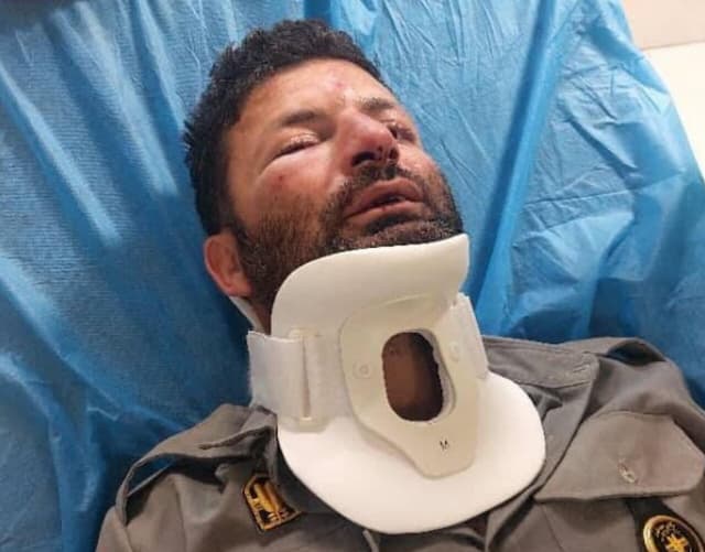 محیط‌زیست: یک محیط‌بان در منطقه ورجین شمیرانات، در جریان ممانعت از ورود غیر مجاز سه نفر، مورد ضرب و جرح شدید قرار گرفت/ ضاربان روانه زندان شدند