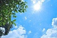 زیر سایه‌ی آفتاب محافظت با سپرهای طبیعی از پوست و مو