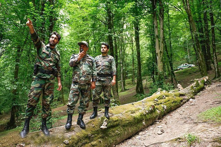 قوانین مجلس در حمایت از جنگلبانان نیازمند بازنگری است