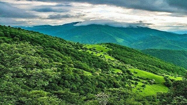 لرستان زیستگاه بکر طبیعت ایران؛ ۱۲ درصد جنگل‌های کشور در استان