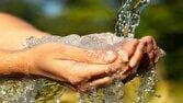 صرفه‌جویی در مصرف آب؛ اهمیت استفاده از سطل آب به جای شلنگ+ فیلم