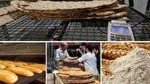 حذف مقررات اضافی راهکار تسهیل دسترسی نانوایان به آرد آزادپز