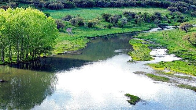 احتمال نابودی ۲۰ درصد از تالاب‌های جهان تا نیمه قرن