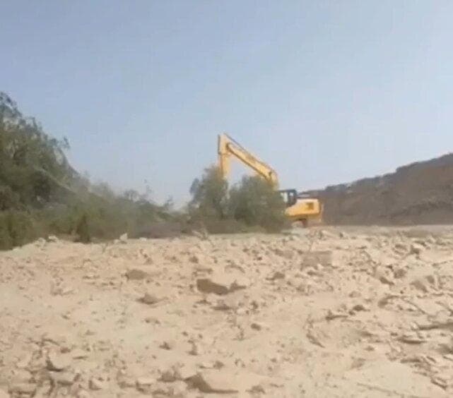 عاملان قطع درختان کهور ایرانی به دادگاه معرفی شدند
