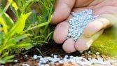 افزایش ۵۰ درصدی عملکرد تولید محصولات اساسی با تامین به موقع کود