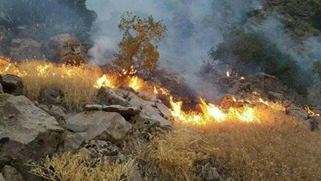 آتش‌سوزی کوه "شره" در کهگیلویه مهار شد