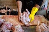 تولید ماهانه گوشت مرغ به ۲۴۵ هزارتن رسید