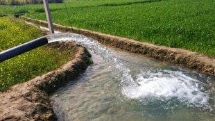 الگوی کشت برمبنای آب تخصیصی بخش کشاورزی اجرا می شود