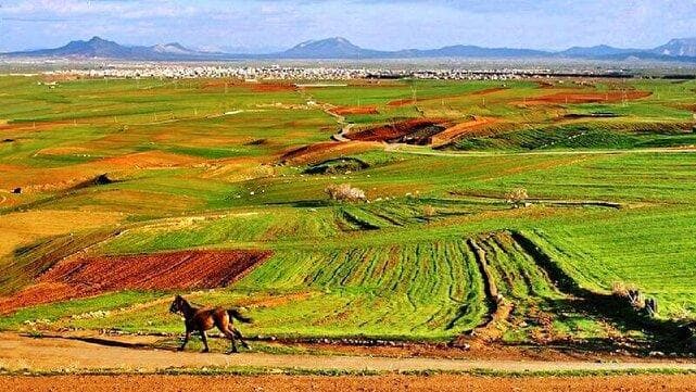 پیشرفت ۱۴ درصدی سد معشوره طی ۲۰ سال!؛ کشاورزی تشنه کوهدشت در انتظار جرعه‌ای از معشوره
