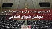 وزارت امور خارجه به قانون مجلس درباره تعلیق همکاری با آژانس عمل کند