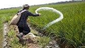 مصوبه پرداخت تسهیلات تهیه و تدارک کودهای کشاورزی ابلاغ شد